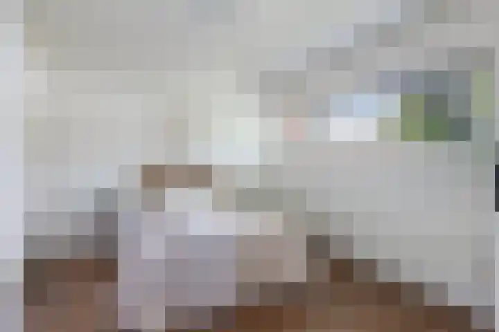 Dollardstraat 44 Utrecht thumbnail 19