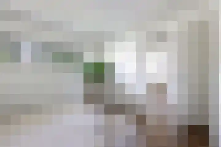 Dollardstraat 44 Utrecht thumbnail 20