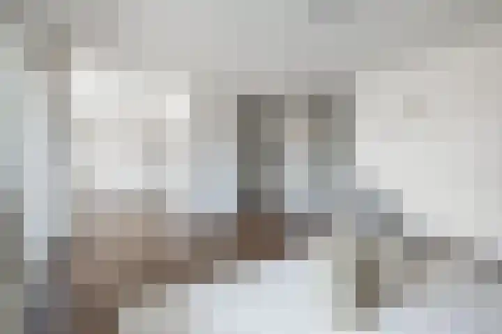 Dollardstraat 44 Utrecht thumbnail 8