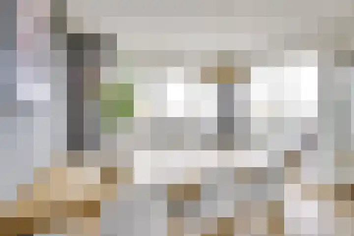 Dollardstraat 58 Utrecht thumbnail 11