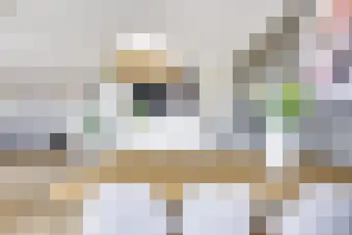 Dollardstraat 58 Utrecht thumbnail 12