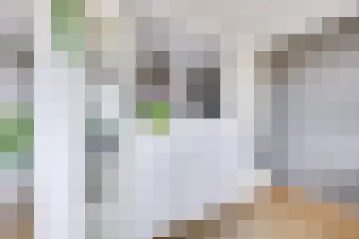 Dollardstraat 58 Utrecht thumbnail 13