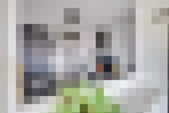 Dollardstraat 58 Utrecht thumbnail 15