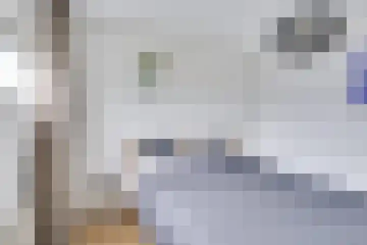 Dollardstraat 58 Utrecht thumbnail 25