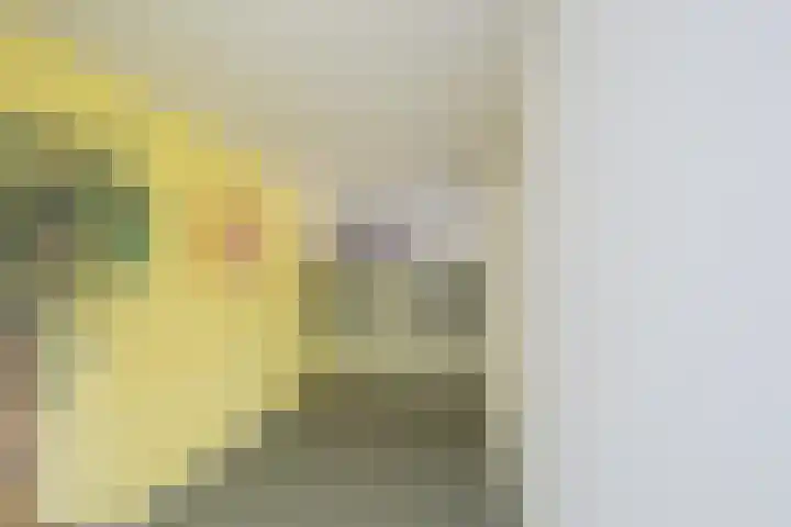 Dollardstraat 58 Utrecht thumbnail 37