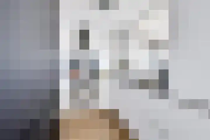 Dollardstraat 58 Utrecht thumbnail 4