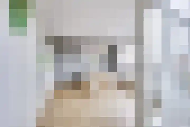 Dollardstraat 58 Utrecht thumbnail 9