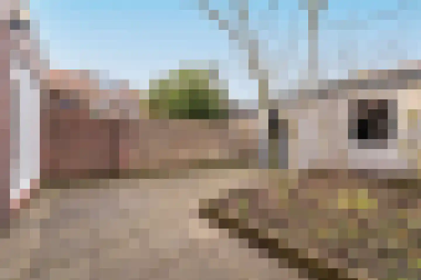 Dollardstraat 6 Amersfoort thumbnail 30