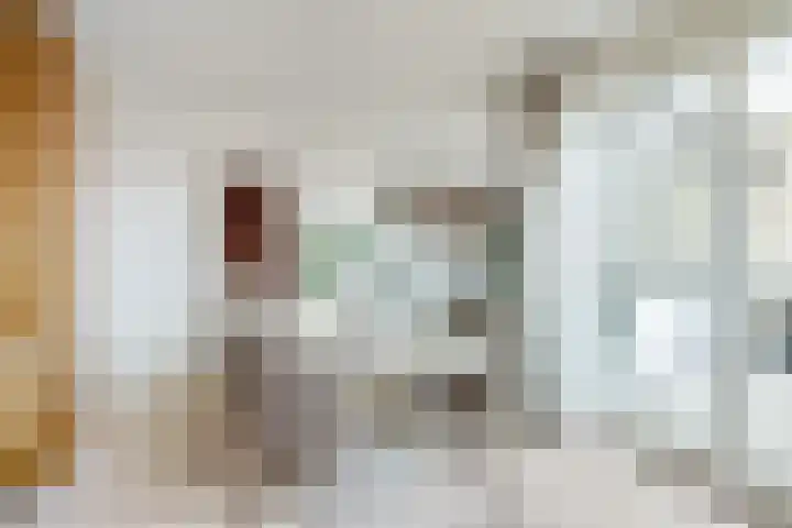 Dollardstraat 64 Utrecht thumbnail 15