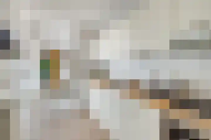Dollardstraat 64 Utrecht thumbnail 18