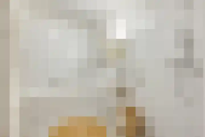 Dollardstraat 64 Utrecht thumbnail 24
