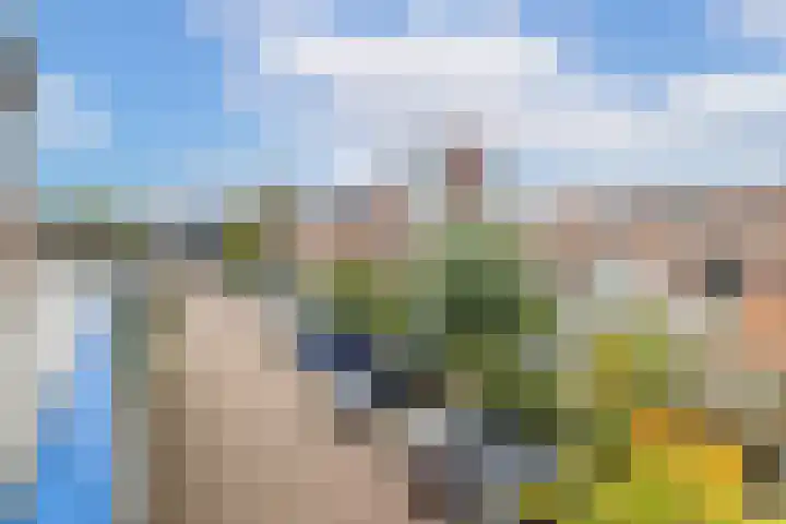 Dollardstraat 64 Utrecht thumbnail 25