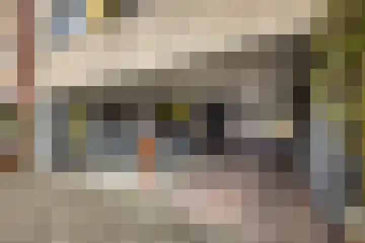 Dollardstraat 64 Utrecht thumbnail 4