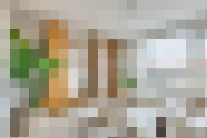 Dollardstraat 64 Utrecht thumbnail 6