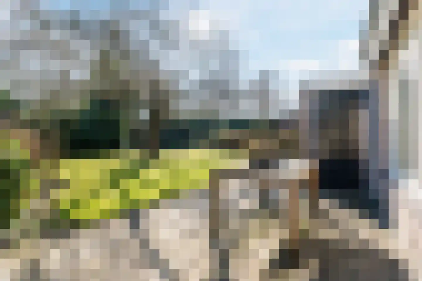 Dollarhof 11 Valkenswaard thumbnail 22