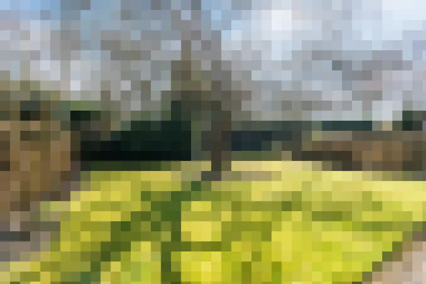 Dollarhof 11 Valkenswaard thumbnail 23