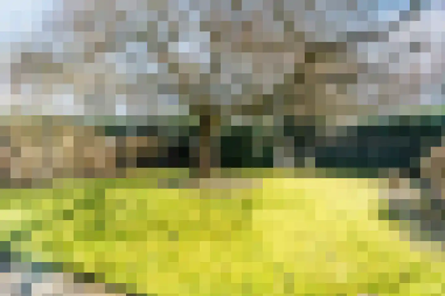 Dollarhof 11 Valkenswaard thumbnail 24