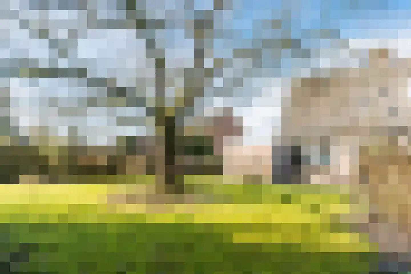 Dollarhof 11 Valkenswaard thumbnail 25