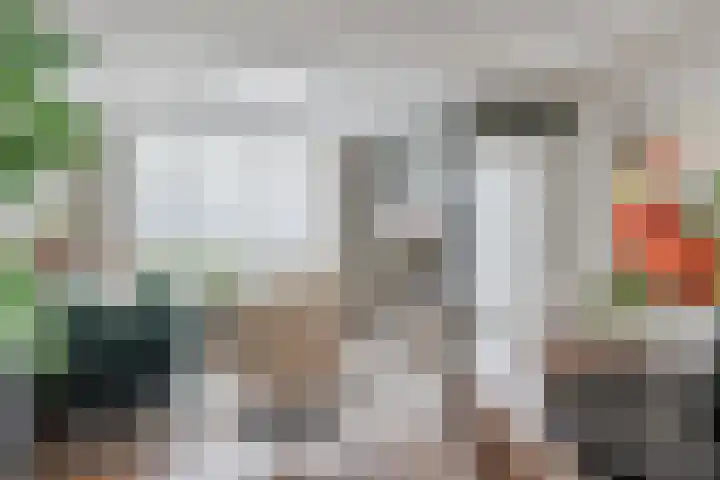 Dollarhof 15 Valkenswaard thumbnail 10
