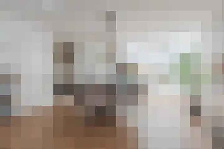 Dollarhof 15 Valkenswaard thumbnail 11