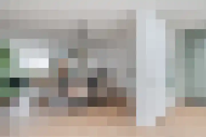 Dollarhof 15 Valkenswaard thumbnail 13