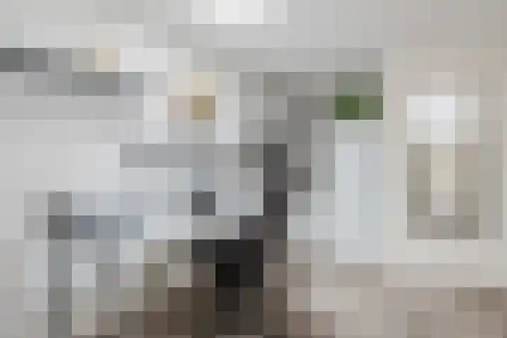 Dollarhof 15 Valkenswaard thumbnail 17