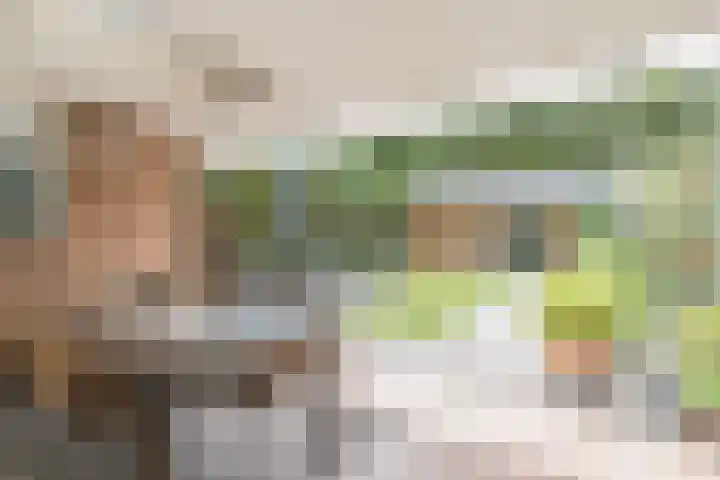 Dollarhof 15 Valkenswaard thumbnail 28