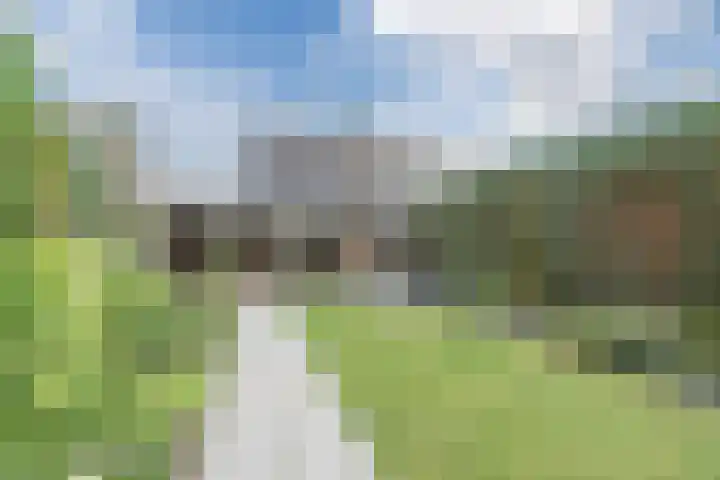 Dollarhof 15 Valkenswaard thumbnail 29