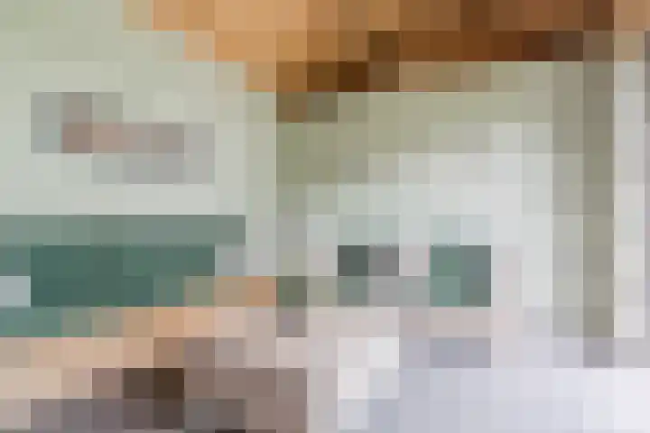 Dollarhof 15 Valkenswaard thumbnail 30