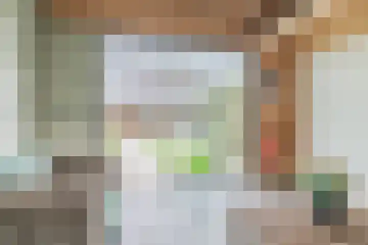 Dollarhof 15 Valkenswaard thumbnail 31