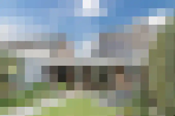 Dollarhof 15 Valkenswaard thumbnail 32