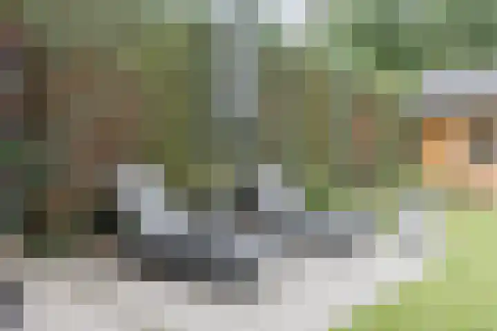 Dollarhof 15 Valkenswaard thumbnail 33