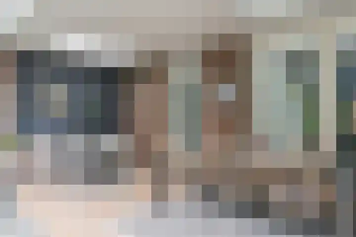 Dollarhof 15 Valkenswaard thumbnail 34