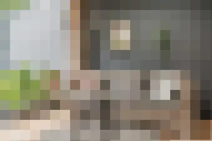Dollarhof 15 Valkenswaard thumbnail 35