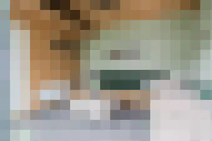 Dollarhof 15 Valkenswaard thumbnail 37
