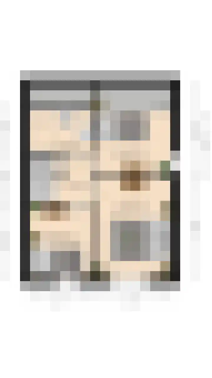 Dollarhof 15 Valkenswaard thumbnail 39