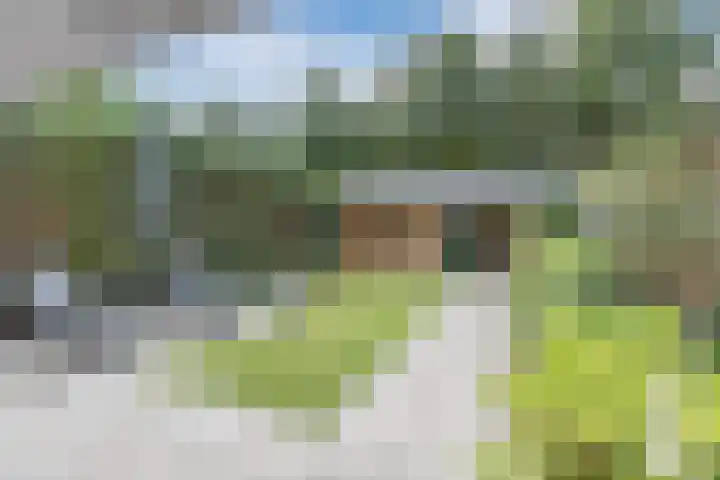 Dollarhof 15 Valkenswaard thumbnail 5