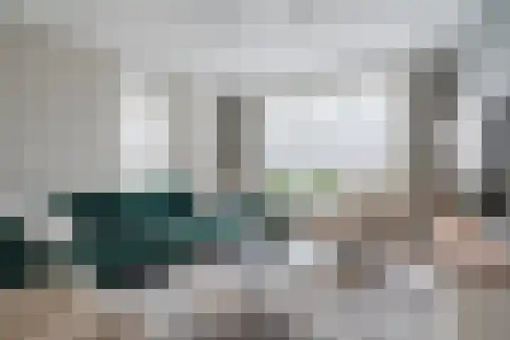Dollarhof 15 Valkenswaard thumbnail 8