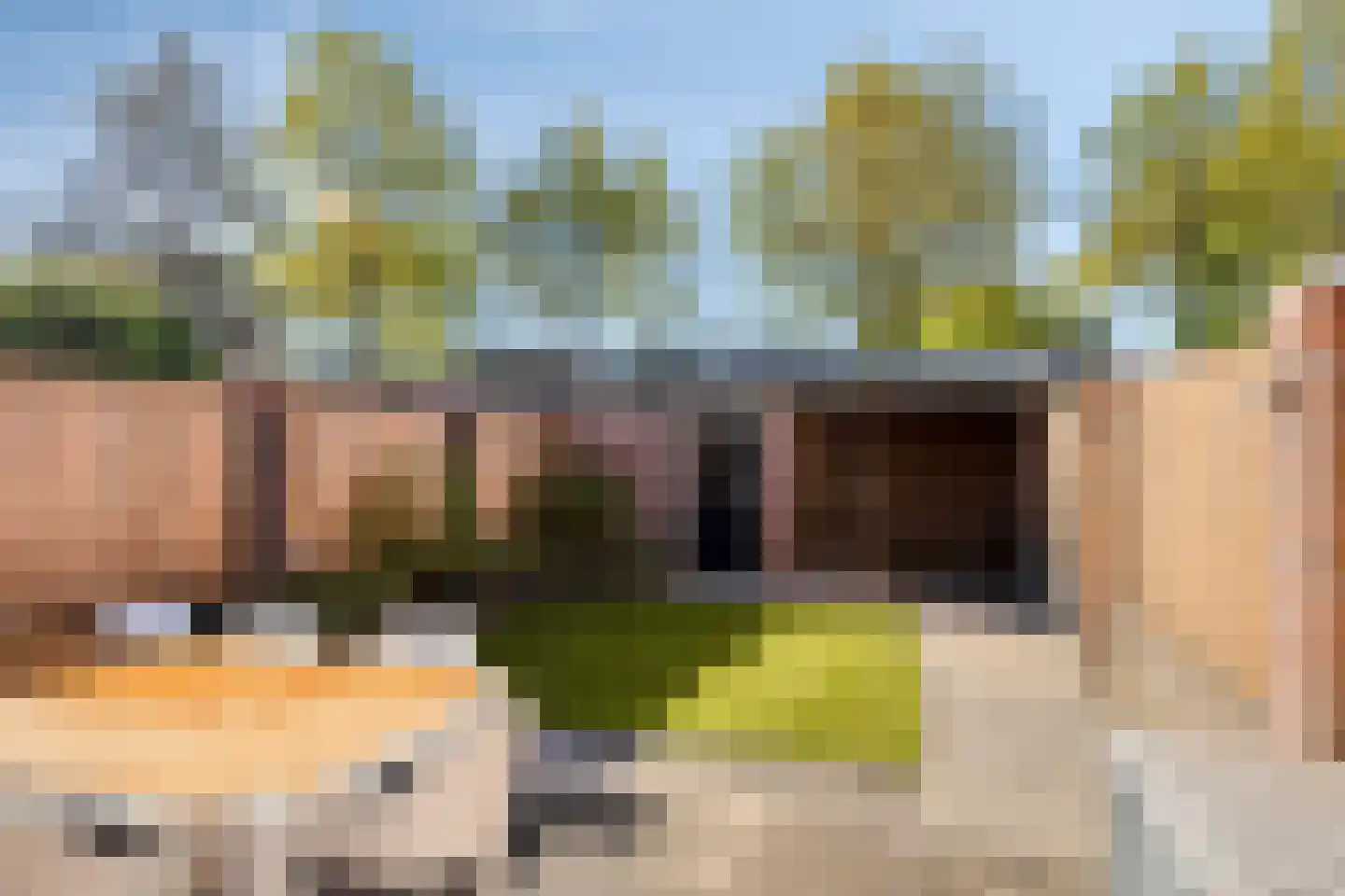 Dollarhof 31 Valkenswaard thumbnail 26