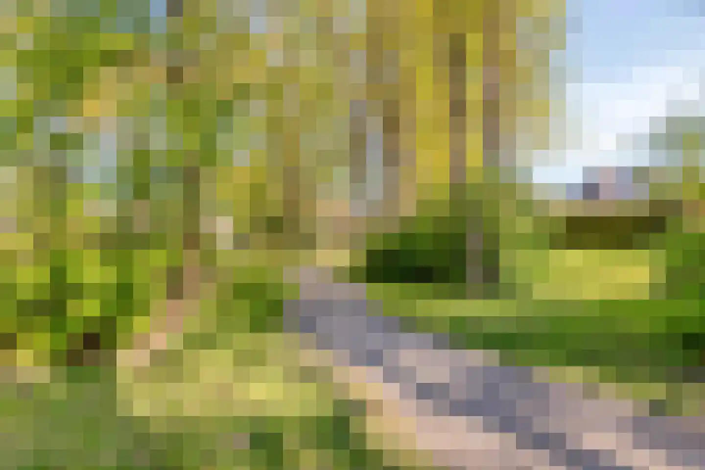 Dollarhof 31 Valkenswaard thumbnail 31