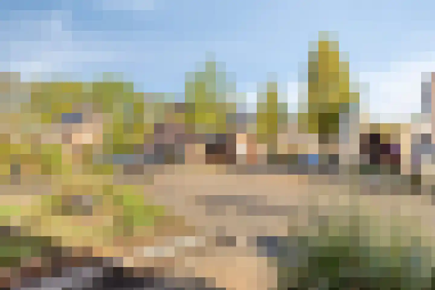 Dollarhof 31 Valkenswaard thumbnail 7