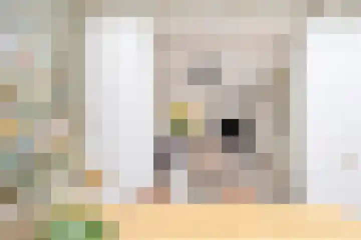 Dollarhof 35 Valkenswaard thumbnail 10