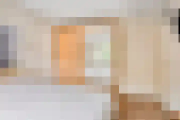 Dollarhof 35 Valkenswaard thumbnail 16