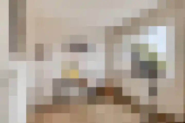 Dollarhof 35 Valkenswaard thumbnail 19