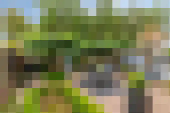 Dollarhof 35 Valkenswaard thumbnail 23