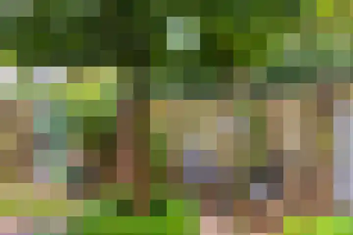 Dollarhof 35 Valkenswaard thumbnail 24