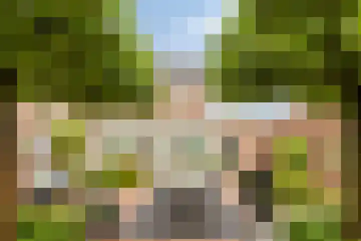 Dollarhof 35 Valkenswaard thumbnail 25