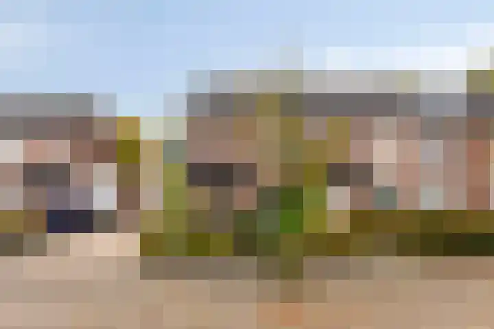 Dollarhof 35 Valkenswaard thumbnail 26