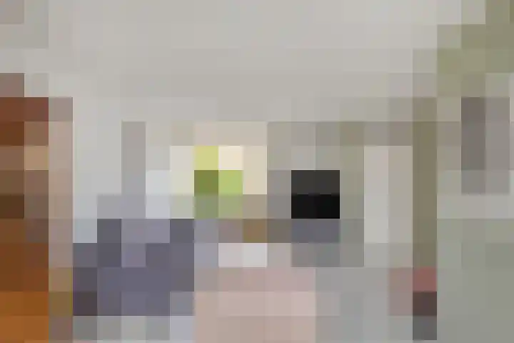 Dollarhof 35 Valkenswaard thumbnail 4