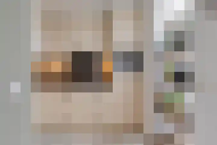 Dollarhof 35 Valkenswaard thumbnail 7
